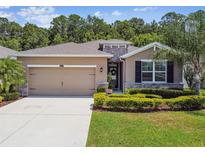 Charming exterior with a well-manicured lawn, stone accents, and a two-car garage at 32825 Sand Creek Dr, Wesley Chapel, FL 33543