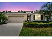Charming single-story home featuring a two-car garage, manicured lawn, and inviting curb appeal at 32825 Sand Creek Dr, Wesley Chapel, FL 33543