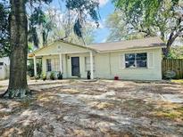 Charming single-story home with a well-maintained lawn and mature trees at 10932 N 21St St, Tampa, FL 33612