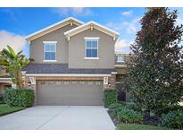 Two story home features a 2-car garage, neutral stucco, manicured landscaping, and a walkway to the front door at 16016 Persimmon Grove Dr, Lithia, FL 33547