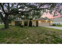 Charming single-story home with arched gate, front yard, and a mature tree in a beautiful residential setting at 2410 Covington Ave, Spring Hill, FL 34608