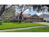 Charming one-story home featuring a manicured lawn, mature trees, and a welcoming three-car garage at 5704 Eaglemount Cir, Lithia, FL 33547