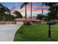 Charming single-story home with a manicured lawn and palm trees under a colorful sunset sky at 7507 Beasley Rd, Tampa, FL 33615