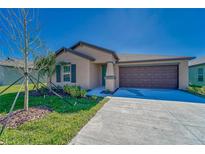 Charming single-story home featuring a manicured lawn and two car garage at 10245 Shady Preserve Dr, Riverview, FL 33578