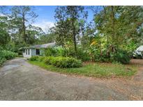 Charming single story home with lush landscaping and a long driveway at 15012 N 301 Hwy, Thonotosassa, FL 33592