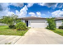 Charming single Gathering home featuring a two-car garage and landscaped front yard with lush green grass and plants at 6119 Bradford Woods Dr, Zephyrhills, FL 33542