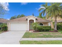 Charming single-story home boasts a well-manicured lawn, a two-car garage, and lush tropical landscaping at 14612 Corkwood Dr, Tampa, FL 33626