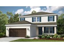 Charming two-story home featuring a neutral color palette, well-manicured lawn, and a two-car garage at 714 Sky Shade Dr, Apollo Beach, FL 33572