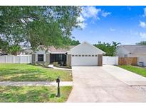 Charming single-story home with a well-manicured lawn and attached two-car garage at 1017 Cameo Crest Ln, Valrico, FL 33596