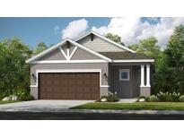 Charming single-story home with a two-car garage and attractive architectural details at 721 Steel Dr, Apollo Beach, FL 33572