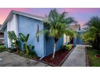 Charming blue house featuring a well-maintained landscape with tropical plants and decorative rock at 10325 Parkcrest Dr, Tampa, FL 33624