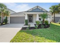 Charming single-story home with a well-manicured front yard, landscaped with palm trees and lush green grass at 10464 Tranquil Meadow Loop, Riverview, FL 33569
