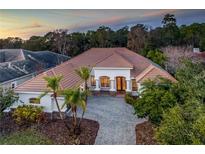Stunning home featuring a well manicured front yard, beautiful tile roof, and paved driveway at 11938 Royce Waterford Cir, Tampa, FL 33626
