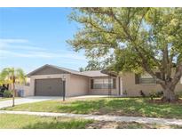 Charming single-story home featuring a well-maintained lawn, mature tree, and a two-car garage at 1406 Valley Pl, Brandon, FL 33510