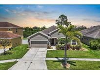 Charming home featuring a well-maintained lawn, landscaping, a two-car garage, and a driveway at 1517 Yale Castle Ct, Ruskin, FL 33570