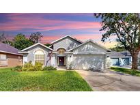 Charming single-story home features a well-manicured lawn, two-car garage, and delightful curb appeal at 16928 Hawkridge Rd, Lithia, FL 33547