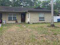 Tan single-story home with a brown front door and two windows, with a large palm tree in the front yard at 201 Lentz Rd, Brandon, FL 33510