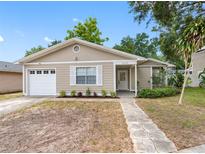 Charming single-Gathering home with a well-manicured lawn and inviting entryway on a sunny day at 8208 Volusia Pl, Tampa, FL 33637