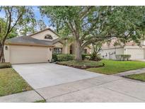 Charming single-story home with a large driveway, mature landscaping, and a welcoming facade at 18017 Palm Breeze Dr, Tampa, FL 33647
