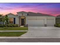 Charming single-Gathering home with a three-car garage and well-manicured lawn at 33700 Hamilton Hill Ln, Wesley Chapel, FL 33545