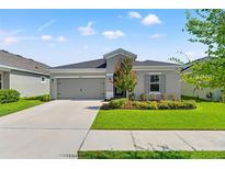 Charming single-story home with well-manicured lawn, gray exterior and two-car garage under a sunny sky at 6123 Golden Nettle Dr, Apollo Beach, FL 33572