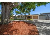 Charming single-story home with well-kept lawn, mulch bed, and mature shade tree at 6282 41St N Ave, St Petersburg, FL 33709