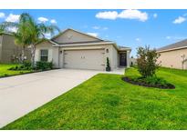 Charming single-story home with a well-manicured lawn, palm tree and a two-car garage on a sunny day at 10512 Fuzzy Cattail St, Riverview, FL 33578