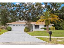 Charming single-story home with a well-maintained lawn and a driveway leading to a two-car garage at 2956 Sutherland Ct, Palm Harbor, FL 34684