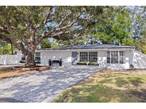 Charming single-story home with a beautifully paved driveway and a large shade tree in the front yard at 4609 S Shamrock Rd, Tampa, FL 33611