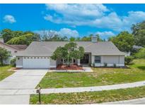 Charming single-story home featuring a well-manicured lawn, mature tree, and inviting front entrance at 465 Holly Hill Rd, Oldsmar, FL 34677