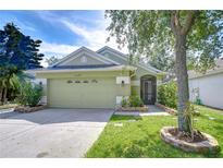 Charming single-story home with a well-maintained lawn and a two-car garage at 6628 Summer Haven Dr, Riverview, FL 33578