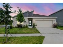 Charming single-story home featuring a modern design, well-manicured lawn, and a two-car garage at twilight at 9795 Crescent Ray Dr, Wesley Chapel, FL 33545