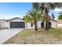 Inviting home exterior featuring a grey garage door, white paint, and palm tree landscaping at 9831 Scenic Dr, Port Richey, FL 34668