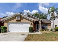 Charming single-story home with a well-manicured lawn and attached two-car garage at 11641 Branch Mooring Dr, Tampa, FL 33635