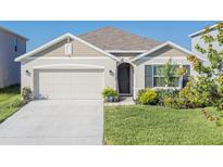 Charming single-story home with a well-manicured lawn and attached two-car garage at 33488 Elm Hill Br, Wesley Chapel, FL 33545