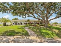 Charming single-story home featuring a beautiful brick walkway, lush lawn, mature tree, and manicured landscaping at 3966 High Bluff Dr, Largo, FL 33770