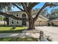 Stunning home exterior with a three car garage and a beautiful tree dominating the front yard at 709 Grand Canyon Dr, Valrico, FL 33594