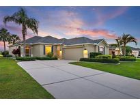 Beautiful single-story home featuring a spacious driveway, well-manicured lawn, and mature palm trees against a colorful sky at 1111 Jasmine Creek Ct, Sun City Center, FL 33573