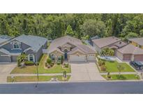 Beautiful single-Gathering home with a manicured lawn, garden beds, and a spacious three-car garage at 2124 Rensselaer Dr, Wesley Chapel, FL 33543