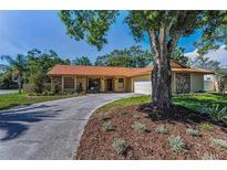 Charming home with stone accents, lush landscaping, and a winding driveway leading to an attached two-car garage at 3041 Oak View Dr, Palm Harbor, FL 34684