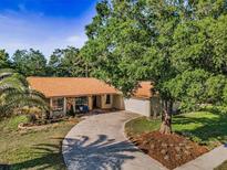 Charming single-story home featuring a stone facade, lush landscaping, and a long driveway leading to an attached garage at 3041 Oak View Dr, Palm Harbor, FL 34684