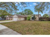 Charming single story home with a well-manicured lawn and mature trees on a sunny day at 4806 Country Hills Dr, Tampa, FL 33624