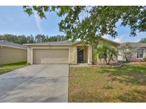 Charming single-story home with a well-maintained lawn, an attached garage, and mature landscaping at 13750 Fareham Rd, Odessa, FL 33556