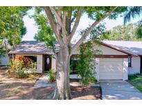 Charming single-story home featuring a well-manicured lawn, mature trees, and an attached garage at 2031 Dover Ct, Oldsmar, FL 34677
