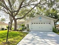 Charming one-story home with a well-manicured lawn, mature tree, and two car garage at 3509 Oak Lake Dr, Palm Harbor, FL 34684