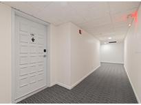 Condo hallway with gray carpet and a white door with unit number at 6265 Sun Blvd # 1203, St Petersburg, FL 33715