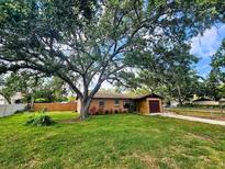Charming single-story home with a large, mature tree providing ample shade and curb appeal at 7001 86Th N Ave, Pinellas Park, FL 33782
