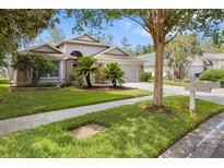 Charming single-Gathering home featuring a well-manicured lawn and beautiful landscaping with palm trees at 9047 Quail Creek Dr, Tampa, FL 33647