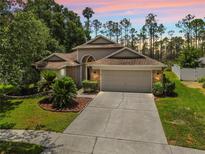 Charming single Gathering home with a lush lawn, mature trees and a two car garage at sunset at 9047 Quail Creek Dr, Tampa, FL 33647