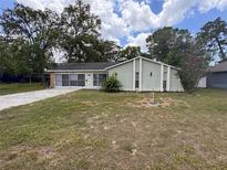 Charming one-story home with green exterior, complemented by a spacious front yard and mature trees at 11394 Collingswood St, Spring Hill, FL 34608